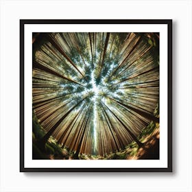 Circle Of Trees 3 Art Print