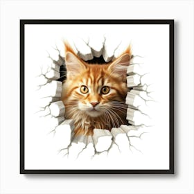 Koon Cat Art Print