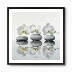 Three Orchids On Rocks Art Print