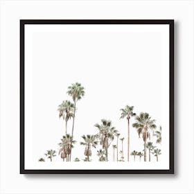 Palm Trees 1 Art Print