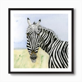 Zebra Watercolor Painting Art Print