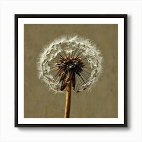 Dandelion 11 Art Print