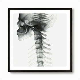 Skull And Fern Art Print