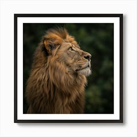 Lion Portrait Art Print