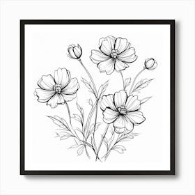 Cosmos Flower, Single Line Drawing Of The Flowers Pattern , Black And White Flowers Art Print