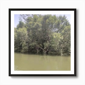 River With Trees 1 Art Print