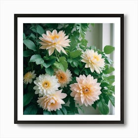 Dahlias Art Print