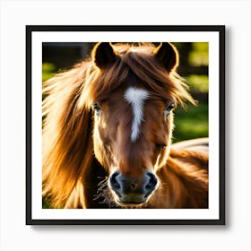 Horsing Around Art Print