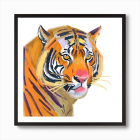 Sumatran Tiger 03 Art Print