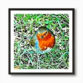 Robin In The Grass Art Print