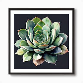 Succulent on black  Art Print