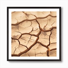 Dry Cracked Earth Art Print