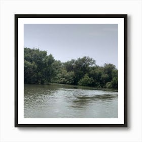 River With Trees Art Print