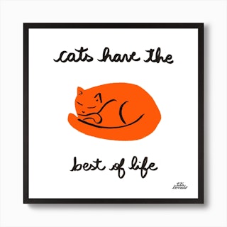 Cats Life Square Art Print