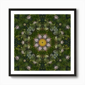 Thistle Mandala Art Print