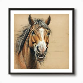 Horse Portrait 9 Art Print