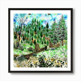 Spruce Forest Art Print