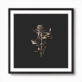 Golden Botanical On Velvet Black Square Art Print