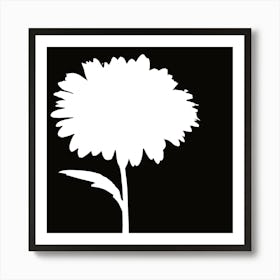 Chrysanthemum 1 Art Print