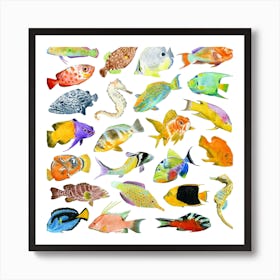 Tropical Fish Square Art Print