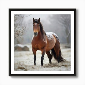 Horse In The Snow Art Print