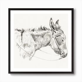 Head Of A Donkey (1821), Jean Bernard Art Print