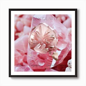 Rose Quartz Crystal 2 Art Print