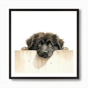 Dog Peeking Over A Fence 1 Art Print