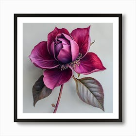 Burgundy Bloom: Realistic Botanical Art Print of a Single Rose Flower Art Print