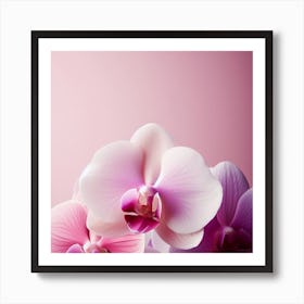 Flower of Orchid 1 Art Print