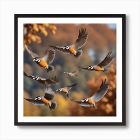 Pigeons In Flight 1 Art Print