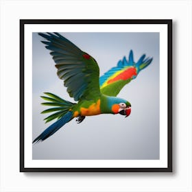 Parrot In Flight Art Print