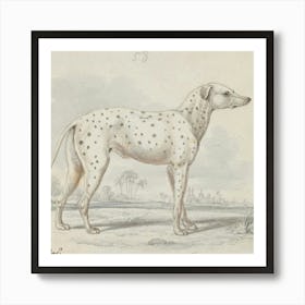 Dogs 345 3 Art Print