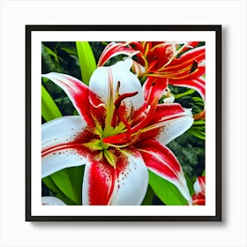 Lily Stock Videos & Royalty-Free Footage Art Print