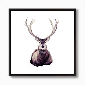 Stag In Snow 3 Square Art Print