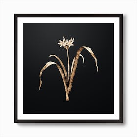 Gold Botanical Small Flowered Pancratium on Wrought Iron Black n.2005 Art Print