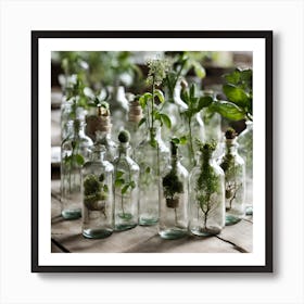 Glass Bottles With Plants Art Print