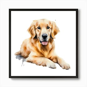 Golden Retriever Watercolor Painting 3 Art Print