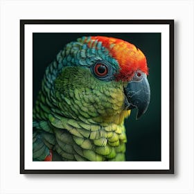 Colorful Parrot 10 Art Print