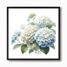 Hydrangeas 1 Art Print