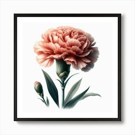 Carnation Flower 6 Art Print