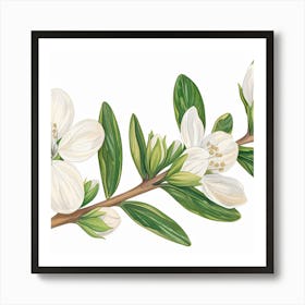 Apple Blossoms 1 Art Print