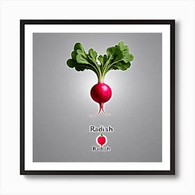 Radish Radish 1 Art Print