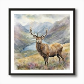 Highland Stag1 Art Print