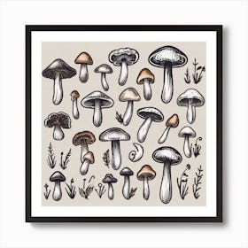 Collection Of Mushrooms Art Print