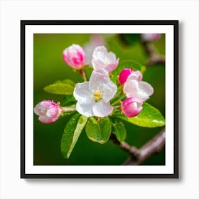 Blooming Pear Tree In Spring Close Shot Showcasing The Intricate Arrangement Of Small Blush Toned B (4) Art Print