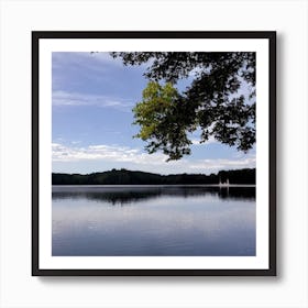 Lake - Lake Stock Videos & Royalty-Free Footage Art Print