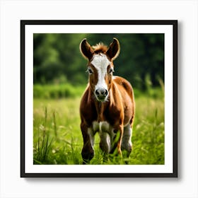 Grass Horse Green Brown Meadow Nature Young Baby Head Mammal Cow Calf Wild Donkey Pony 2 1 Art Print