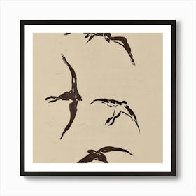 Four Birds In Flight Art Print