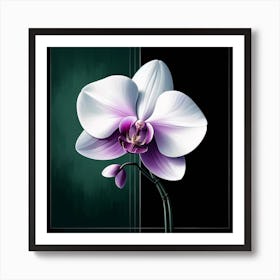 "Solitude's Bloom"  A striking orchid stands out with its white and purple petals against a dark backdrop, its elegance undeniable and alluring.  Discover the essence of 'Solitude's Bloom', where the stark beauty of a solitary orchid captures the gaze and calms the spirit. This piece is a testament to finding strength and beauty in solitude, making it a compelling addition to any collection for those who appreciate the profound grace of nature. Art Print